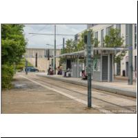 2025-07-30 T Champagne.jpg